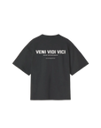 VENI VIDI VICI